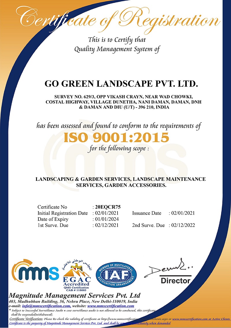 image service
